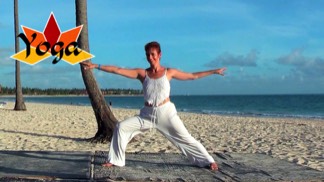 Stacks Image 3894